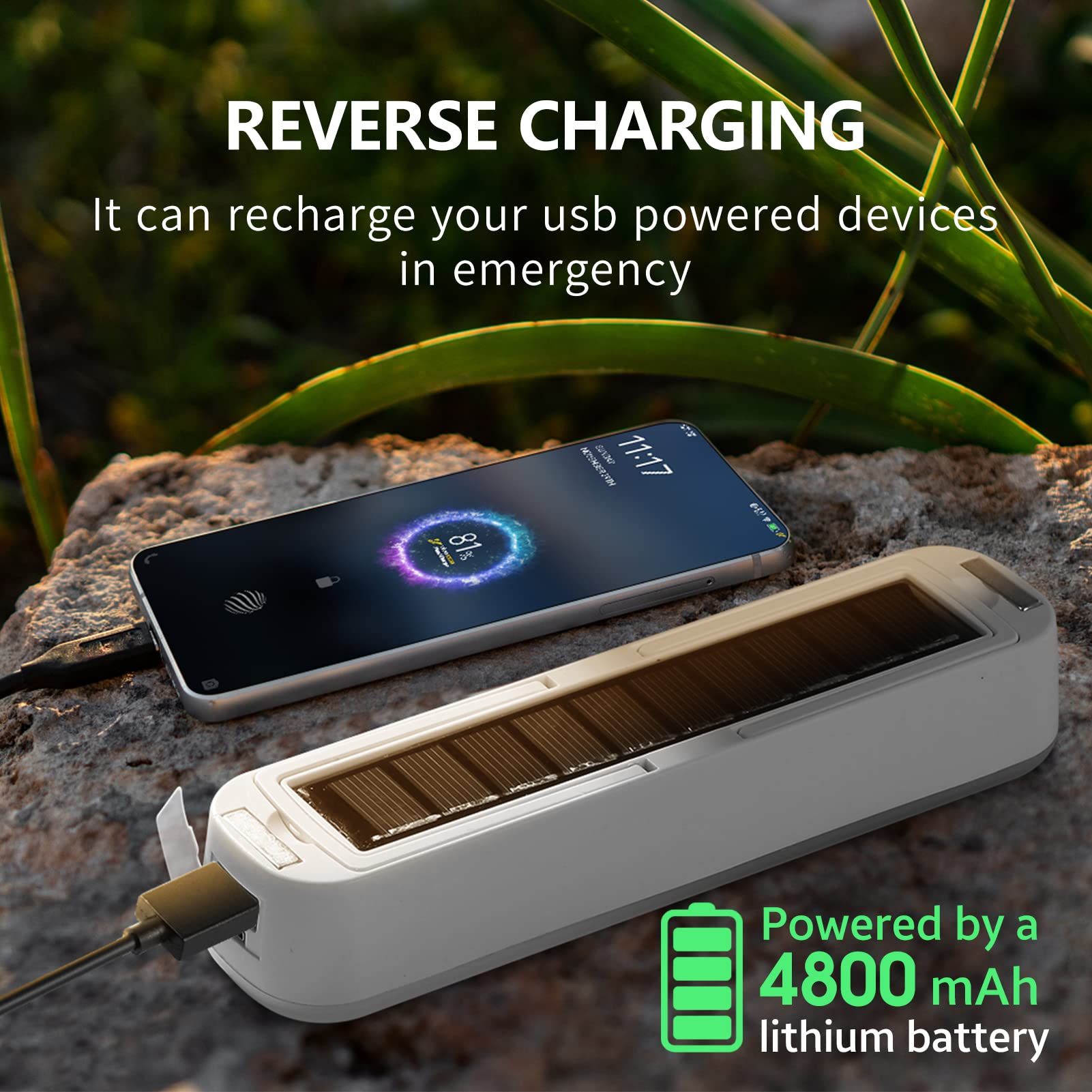 Solar Rechargeable Camping Lan - Renewable Energy House 评论和价格