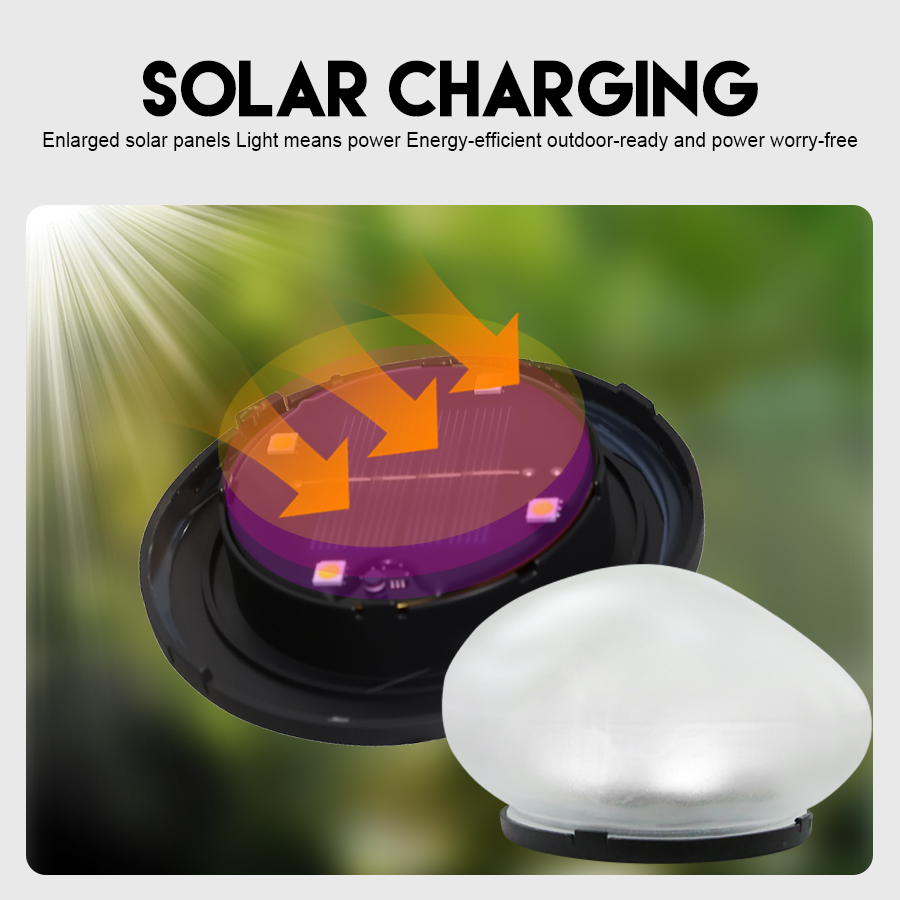 Solar Decorative Lamp Frosted  - Renewable Energy House 评论和价格